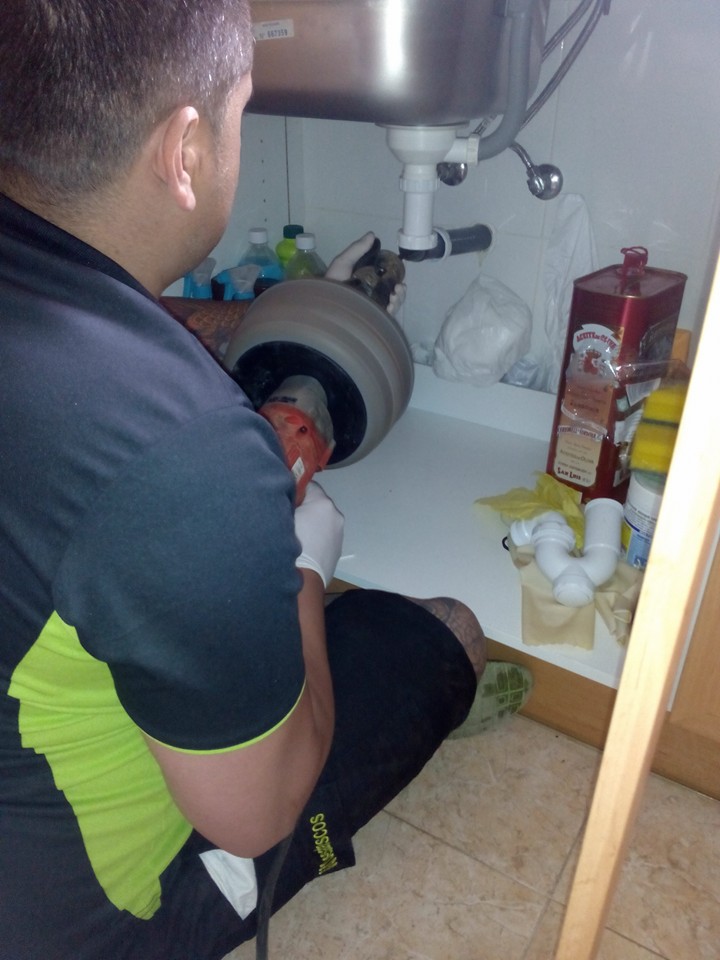 Desatascos en Maspalomas